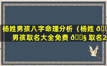 杨姓男孩八字命理分析（杨姓 🌴 男孩取名大全免费 🐧 取名2020）